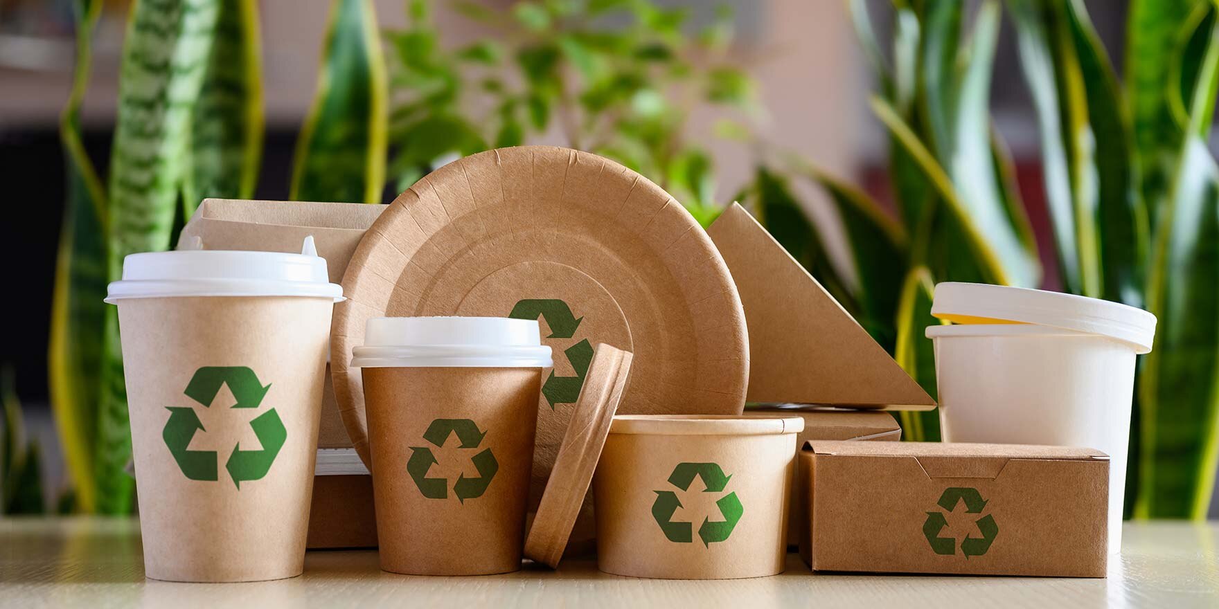 Umweltfreundliches Einweggeschirr mit Recycling-Schildern, im Hintergrund Grünpflanzen. 