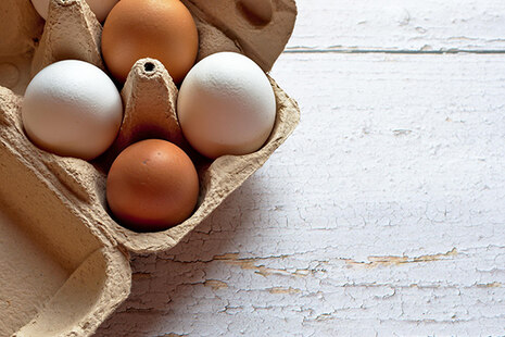 Links eine Packung mit weißen und braunen Eiern