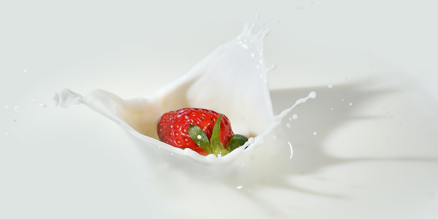 Erdbeere fällt in ein Glas Milch